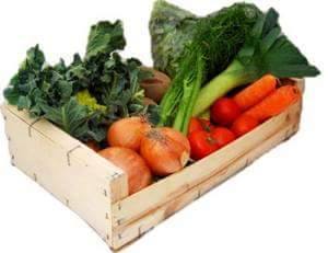 13087520_601993979978992_8473502129496433160_n