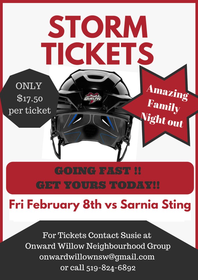 storm vs sarnia sting
